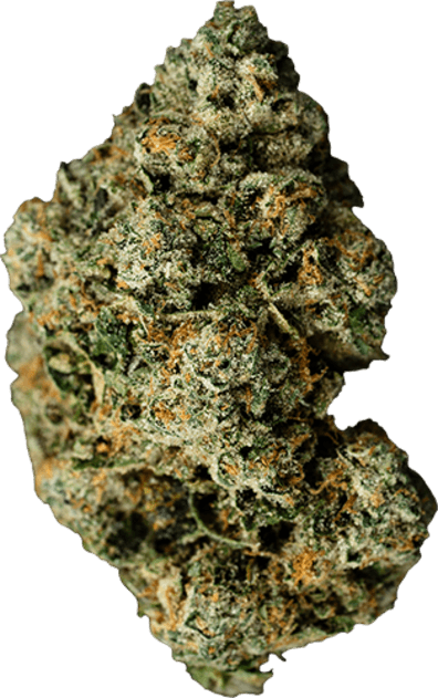 Jet Fuel Gelato